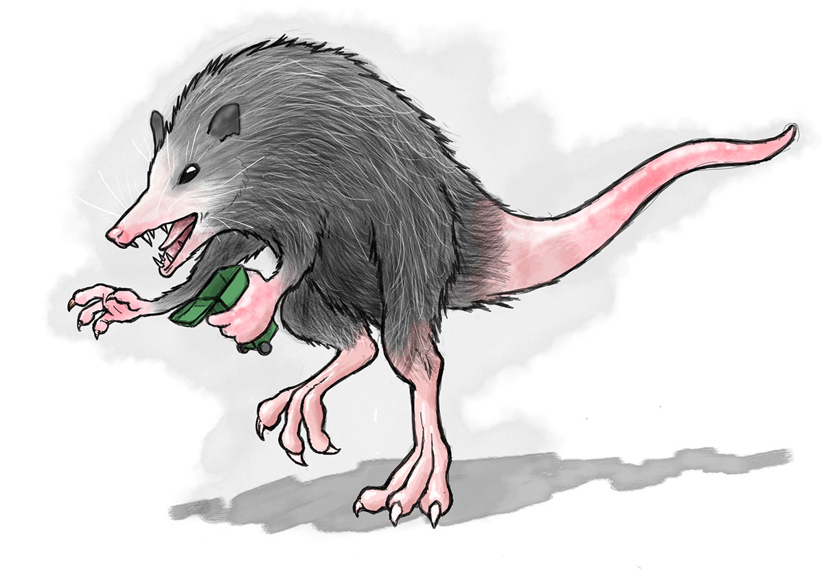 Opossumsaurus